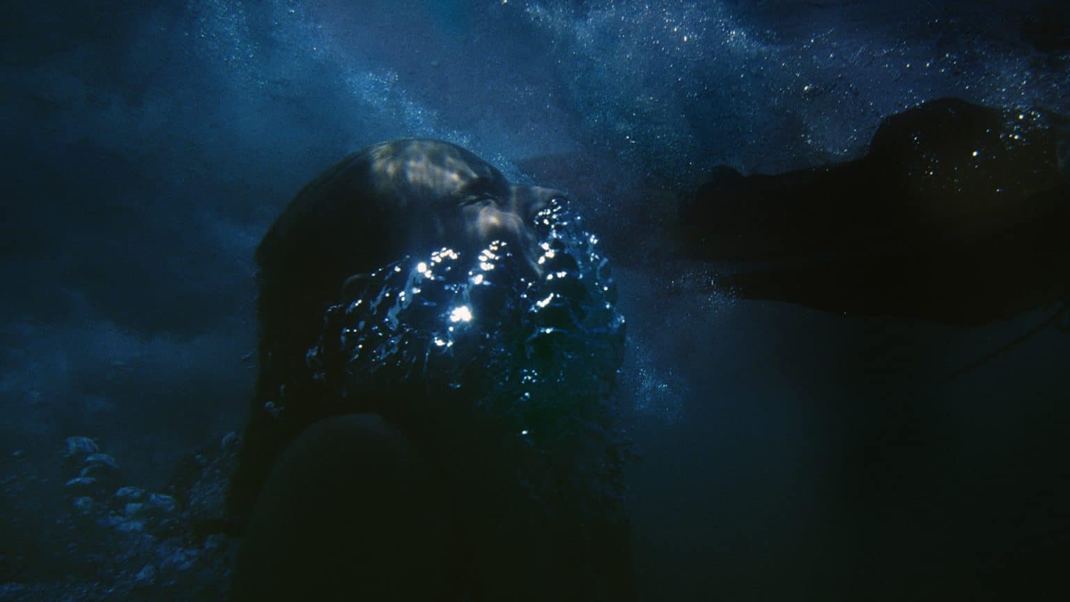 Narelle Autio’s Immersive Exploration of Our Connection to the Sea ...