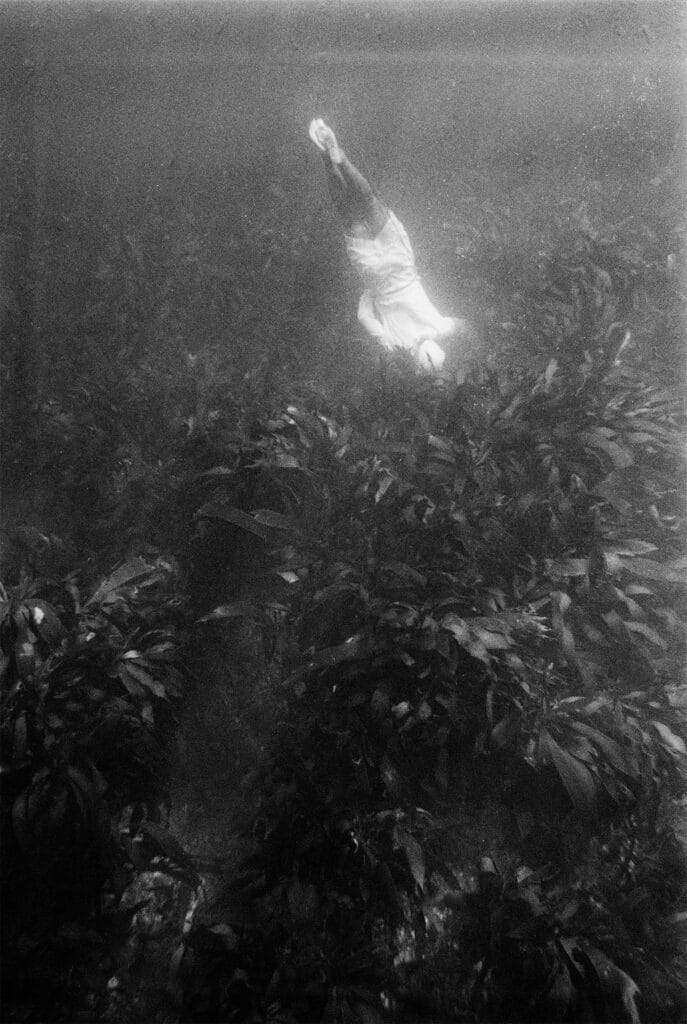 うらくちくすかす。 水中、1965 年。浦口望氏提供。
