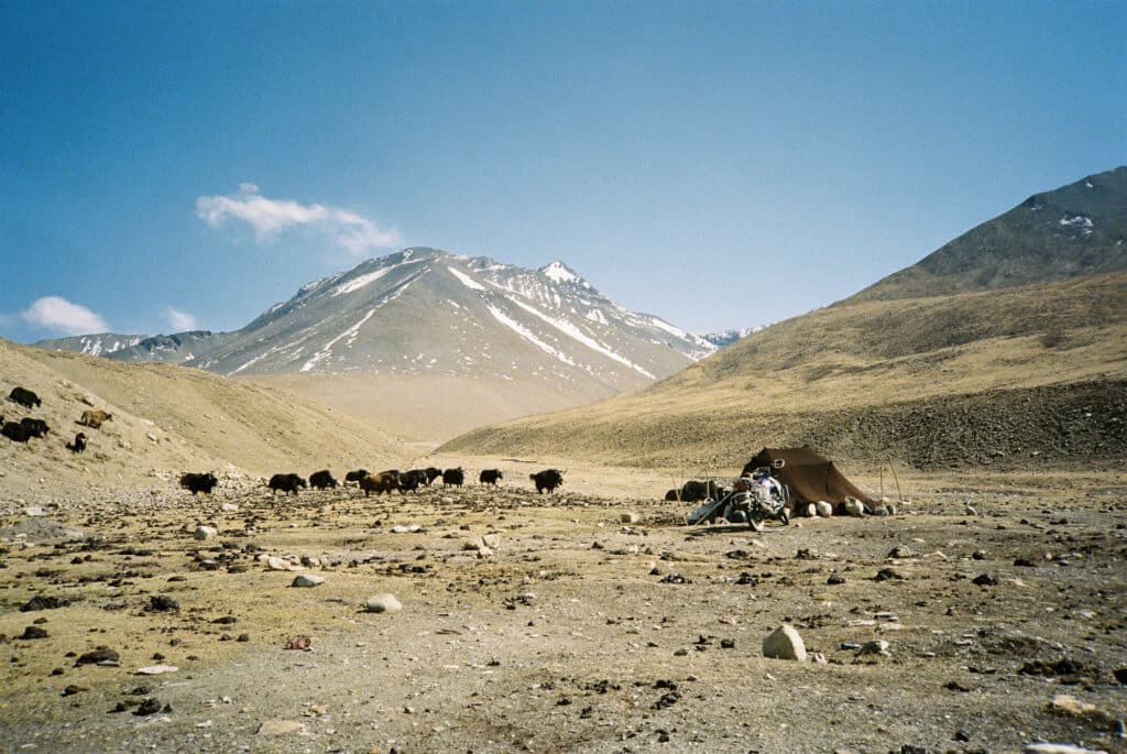 Un troupeau de Yaks avec leur berger nomade dans la Hidden Valley. © Clément Cangiano