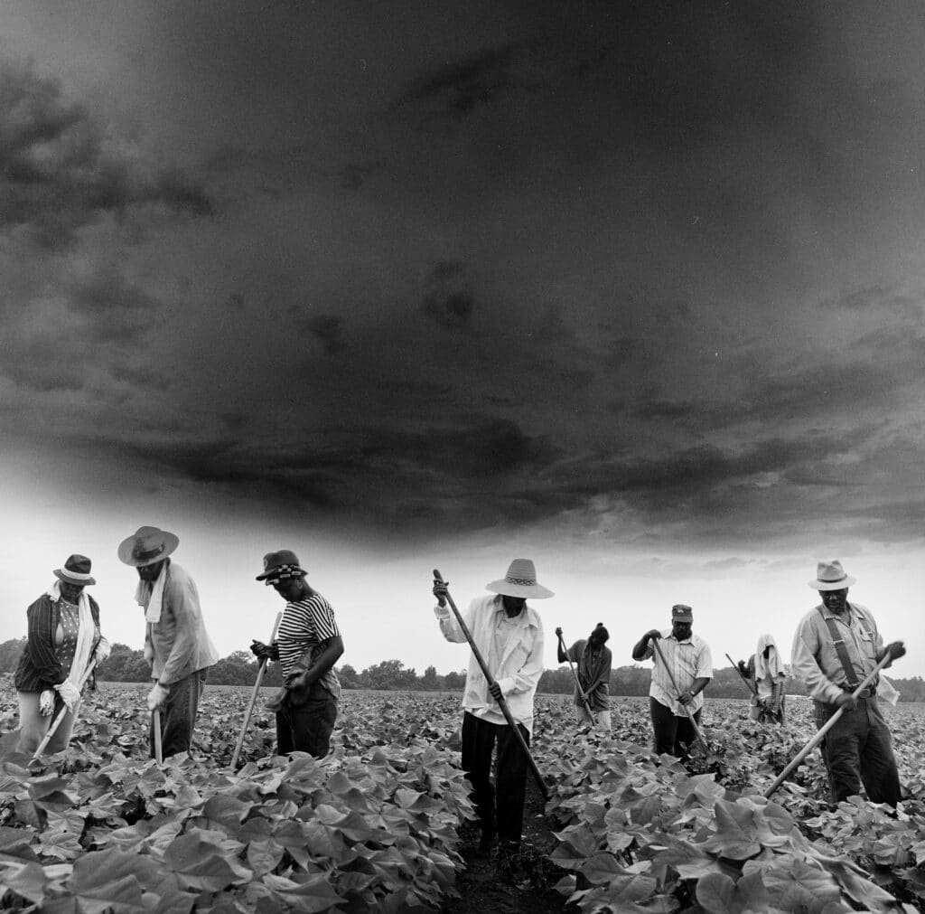 Cotton choppers, Sherard Plantation, Sherard Mississippi, 1992 © Ken Light / Contact Press images