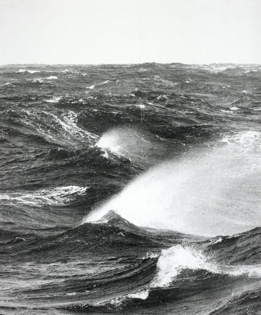 Jochen Lempert, Un voyage en Mer du Nord, 2009-2013, collection les Abattoirs, Musée – Frac Occitanie Toulouse © Adagp, Paris, 2024 © photo Yves Chenot / courtesy Cnap, Paris-La Défense