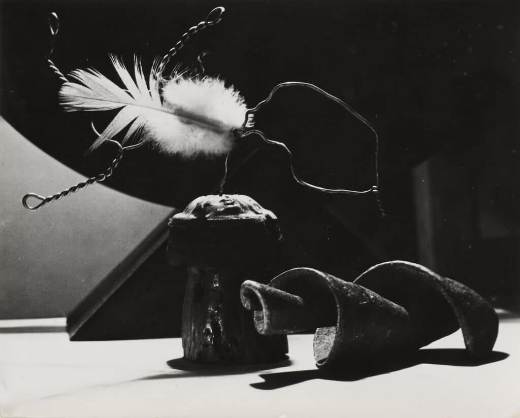 Man Ray, L‘Origine des espèces, 1935 – Courtesy Sophie Scheidecker