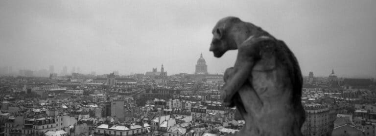 Notre-Dame de Paris © Tomas van Houtryve 2021