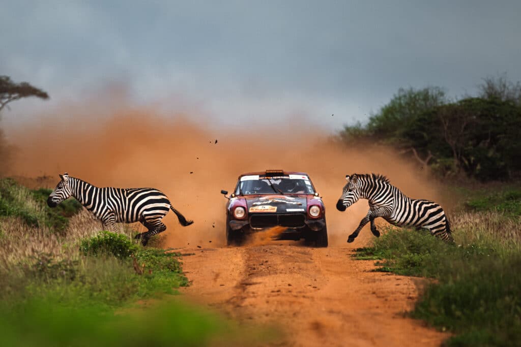 Zebra Crossing © Anton Anestiev