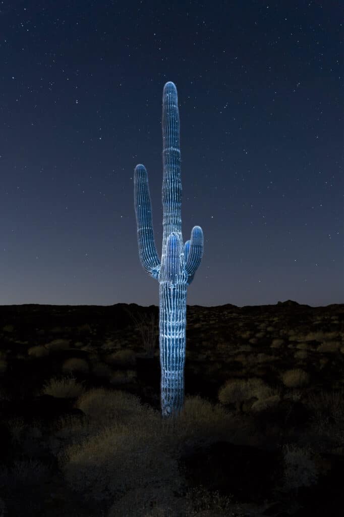 Planeta 2025, Installation : photographies et sculpture (détail) © Julien Lombardi