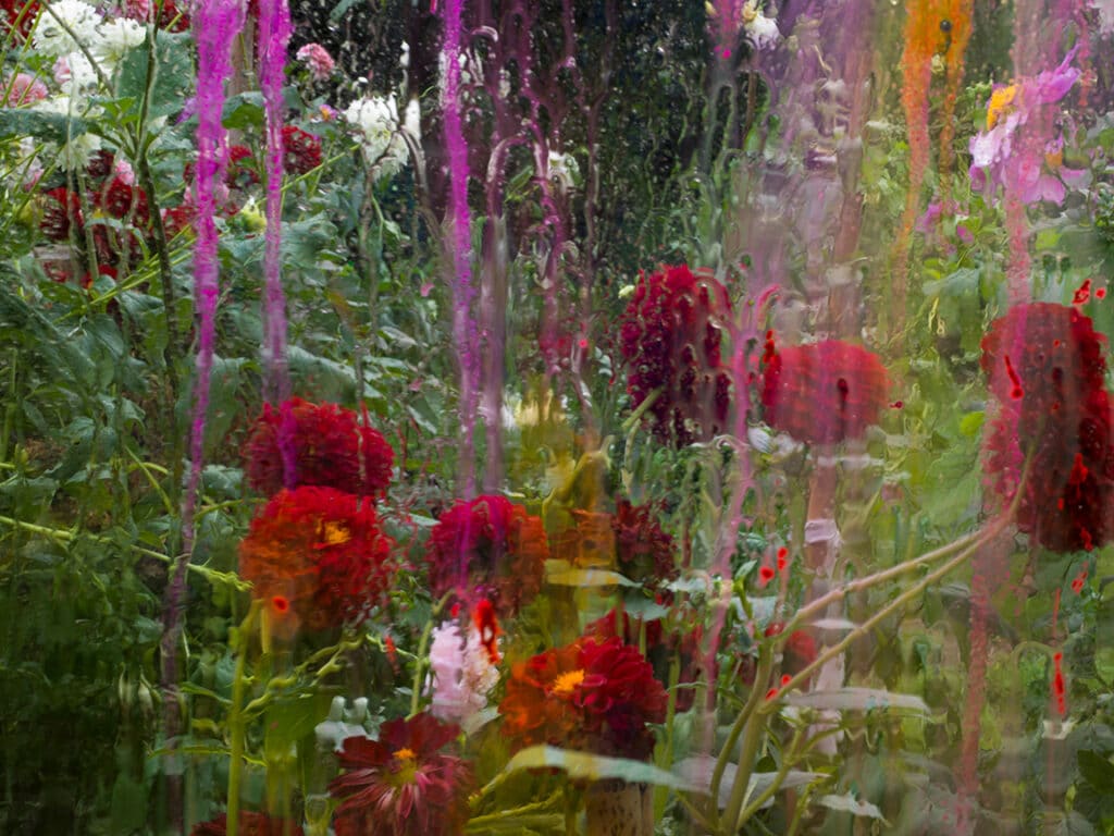 Dahlia Redfield, Château de Padiès, France, 2023 © Denis Piel / Courtesy of Staley-Wise Gallery, New York